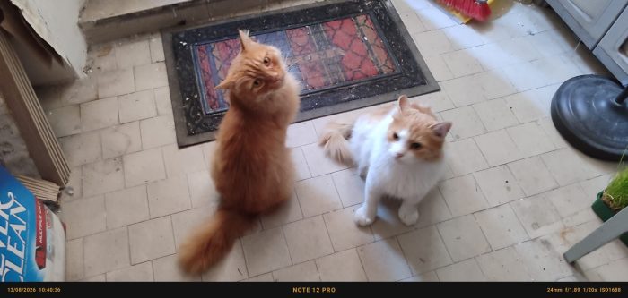 LEO E PUFFETTO NON CHIEDONO ALTRO CHE IL TUO AMORE
