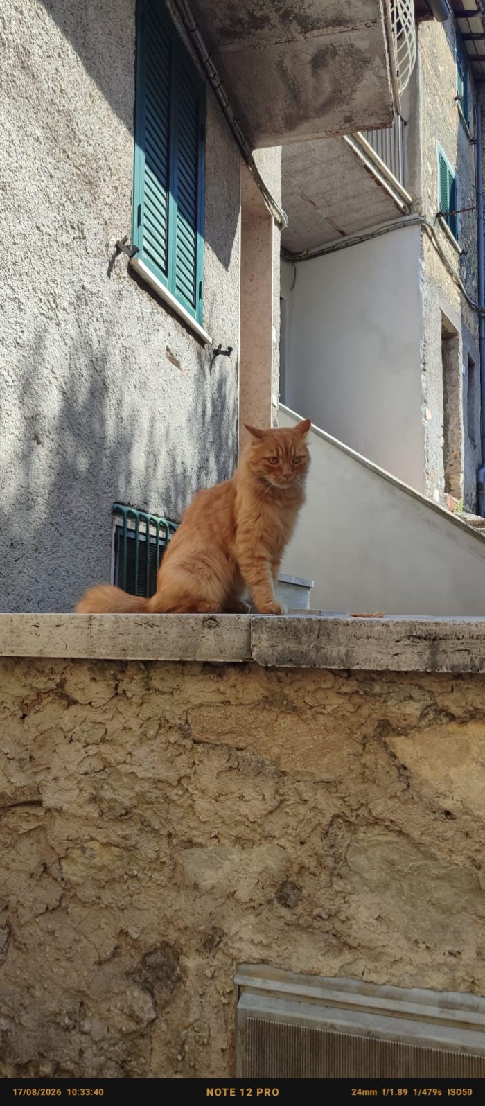 LEO E PUFFETTO NON CHIEDONO ALTRO CHE IL TUO AMORE - media 5