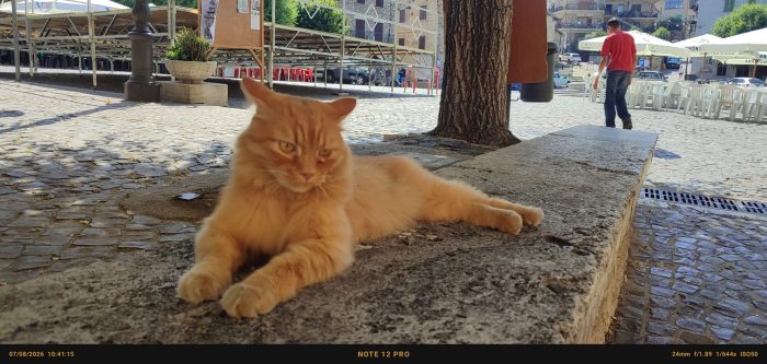 LEO E PUFFETTO NON CHIEDONO ALTRO CHE IL TUO AMORE - media 7