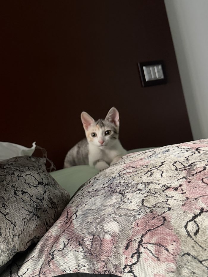 Zoe🩷cerca casa