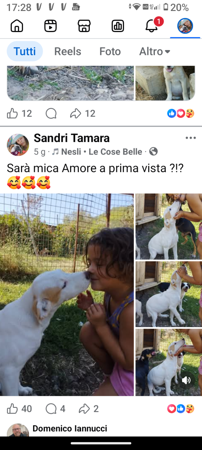Sorelle 3 mesi future taglia medio contenuta, - media 6