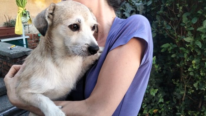 Possibile che non abbia mai ricevuto una richiesta?