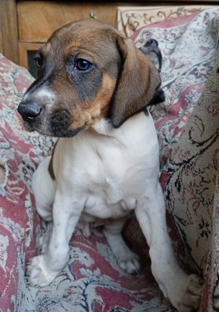 Jack ... il bellissimo!