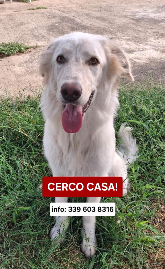 Eros...non puoi non innamorarti