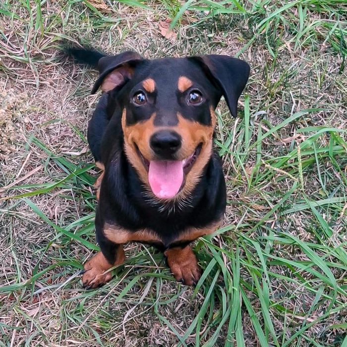 Miky ti aspetta...ti ruberà il cuore
