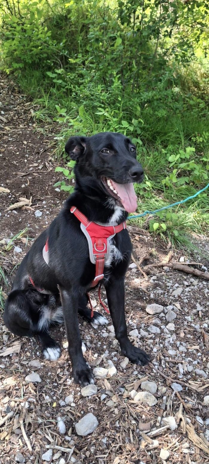 Nina cerca casa