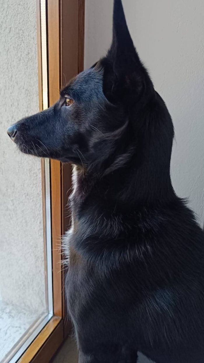 Nina cerca casa