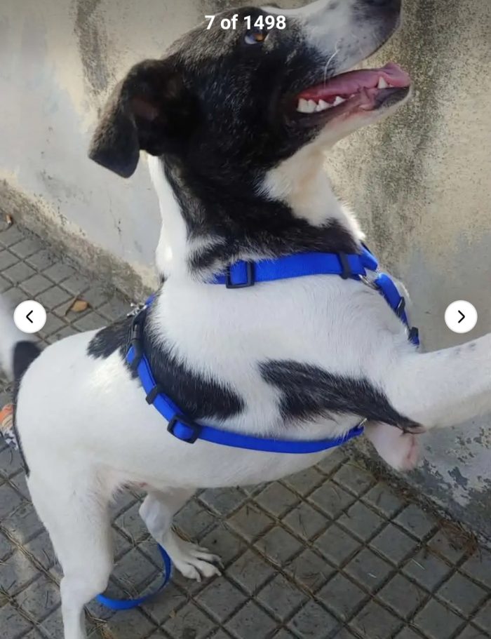 Luce 3anni TRIPODE DEVE VENIR VIA DA LÌ,NON TROVIAMO 1STALLO( anche a pagamento) SOLO IN SARDEGNA
