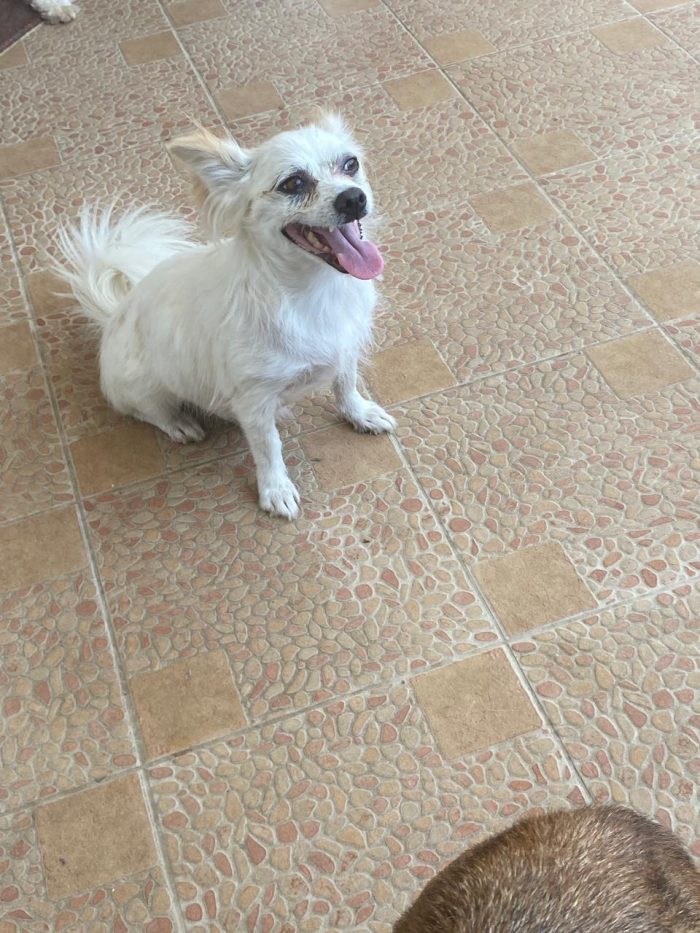 Ha 3 anni e ha già sofferto troppo