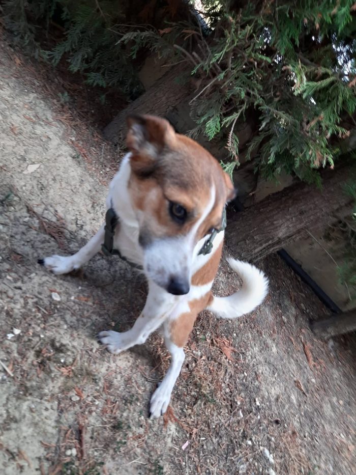 Mila 7kg di dolcezza