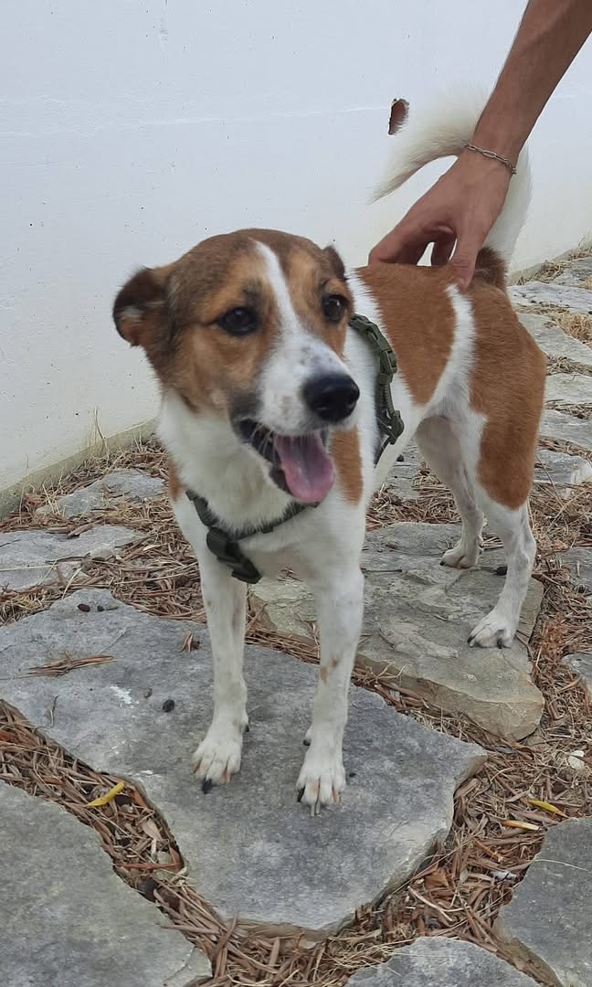 Mila 7kg di dolcezza
