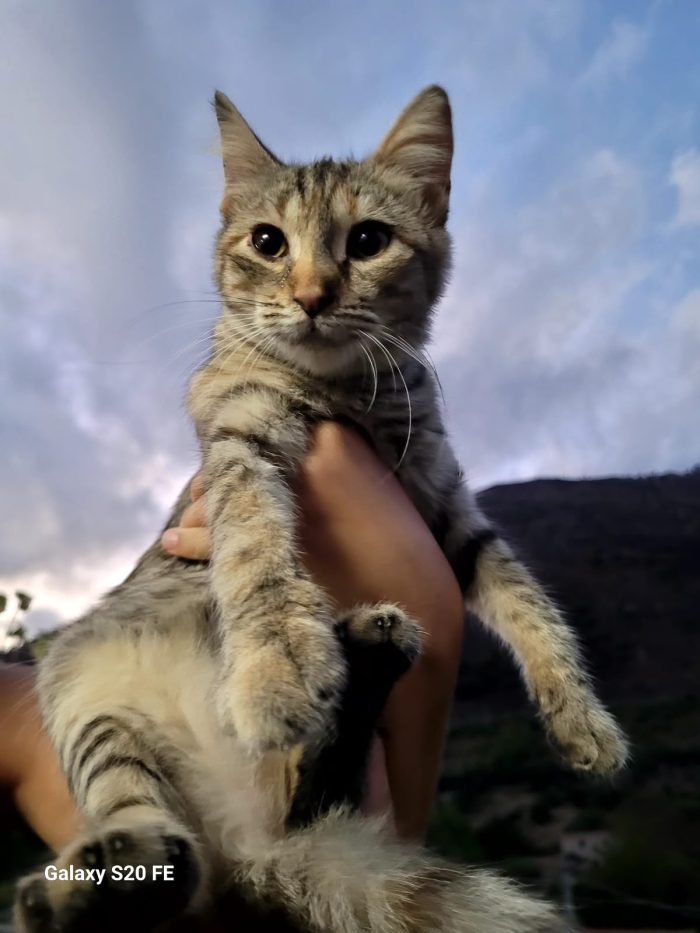 4 mesi, tutta fusa e coccole