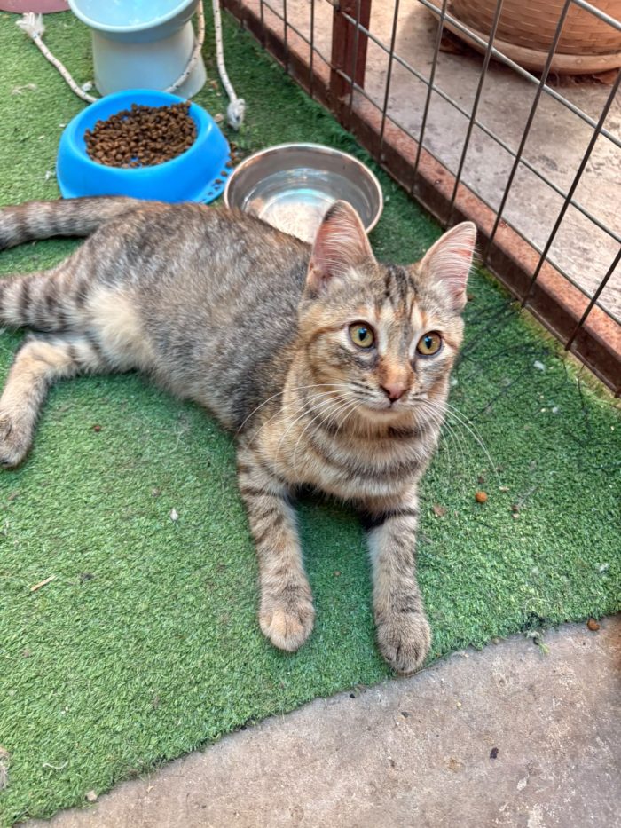 4 mesi, tutta fusa e coccole