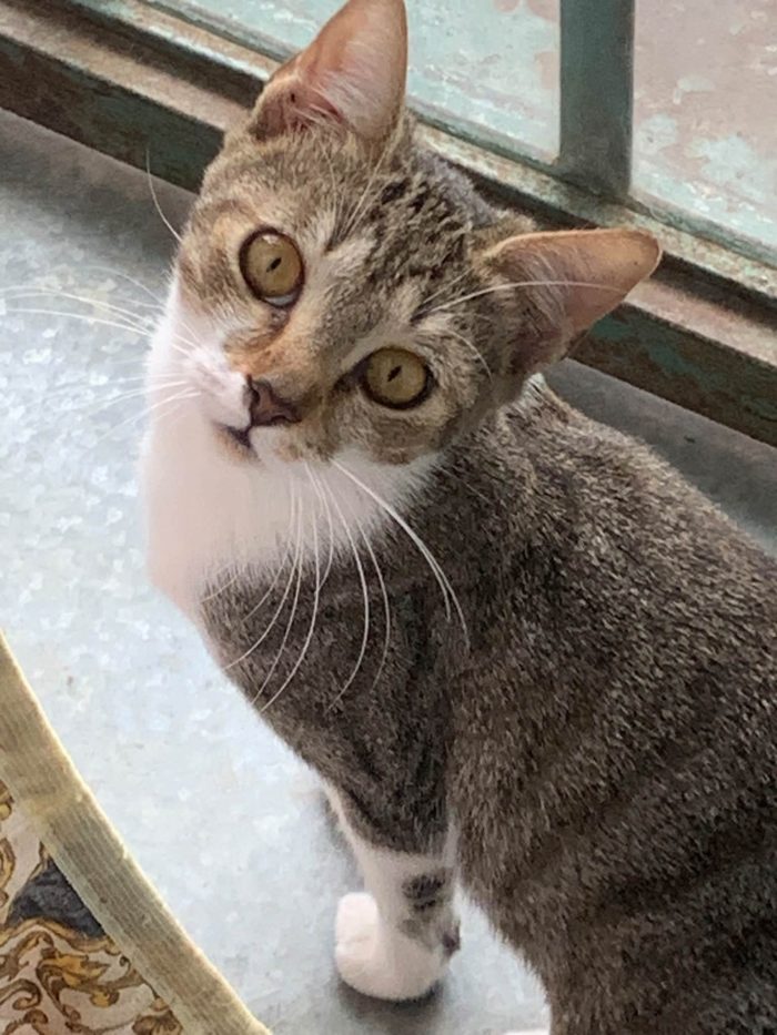 Dolcissima Greta, neanche 2 anni