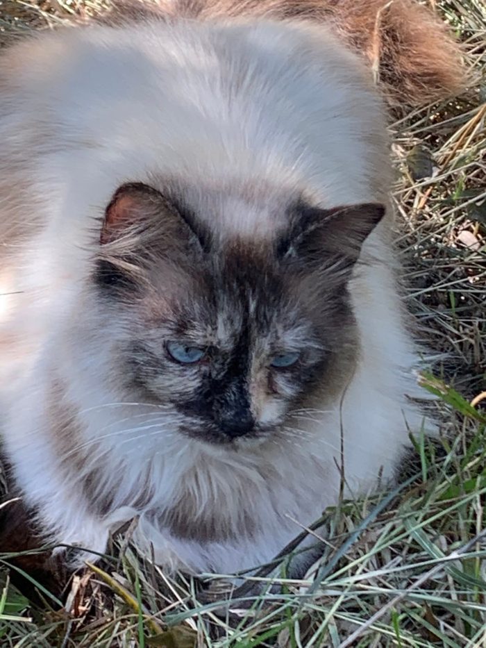 Bellissima e buona, 3 anni