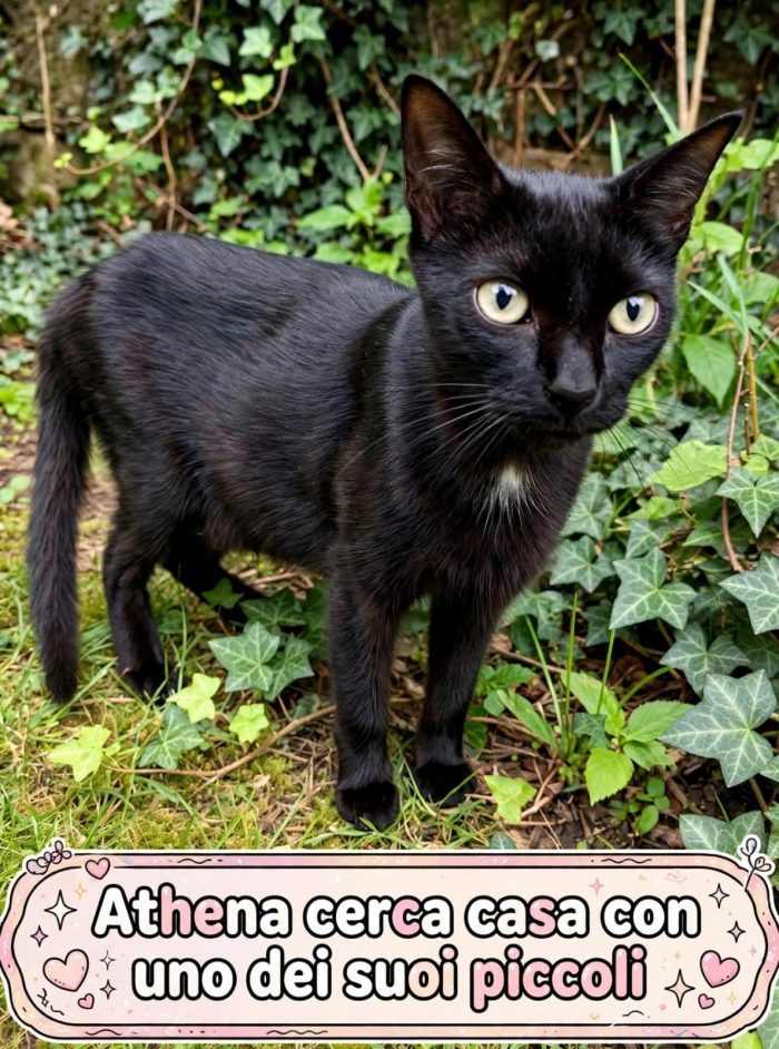 Una giovane mamma speciale e le sue 5 meraviglie cercano casa! 🐾