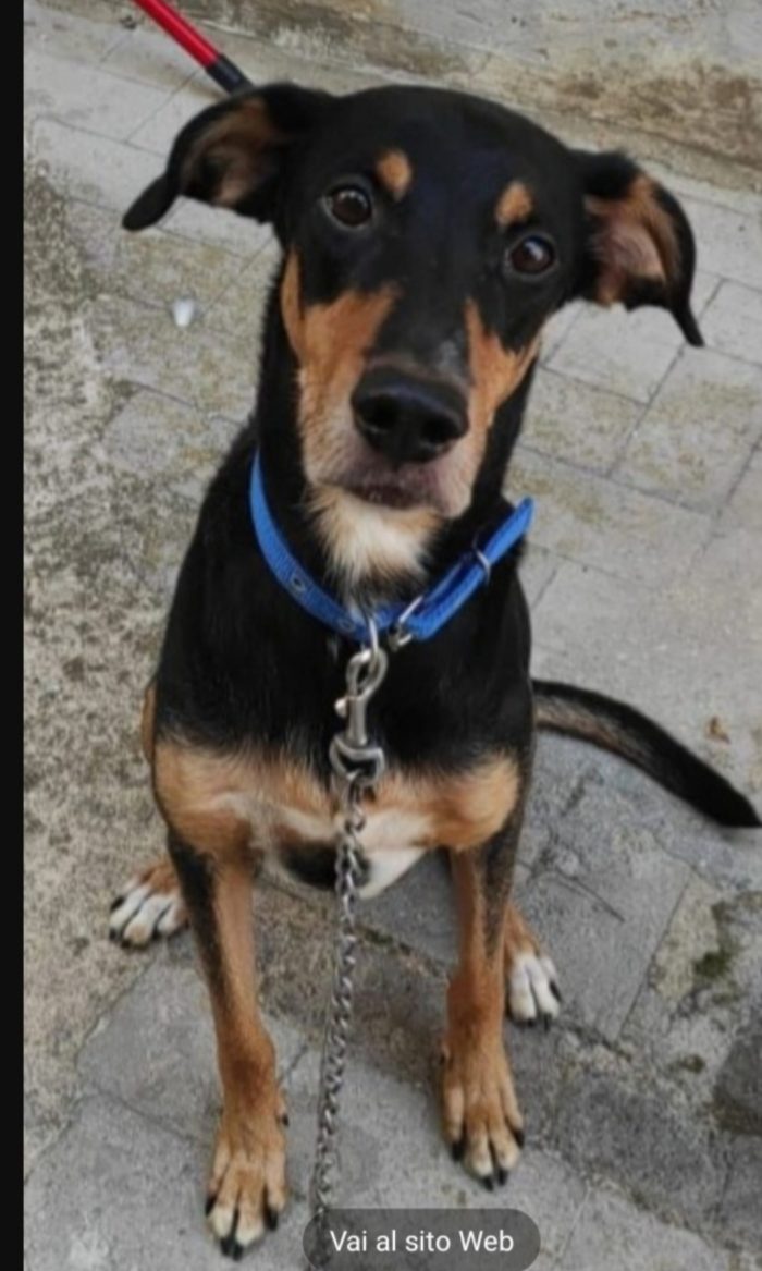 Aron 7/8anni,x 6anni ha vissuto in casa