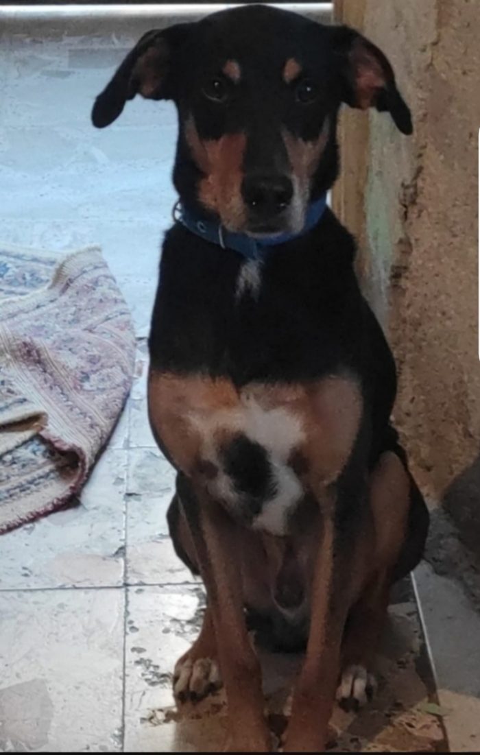 Aron 7/8anni,x 6anni ha vissuto in casa