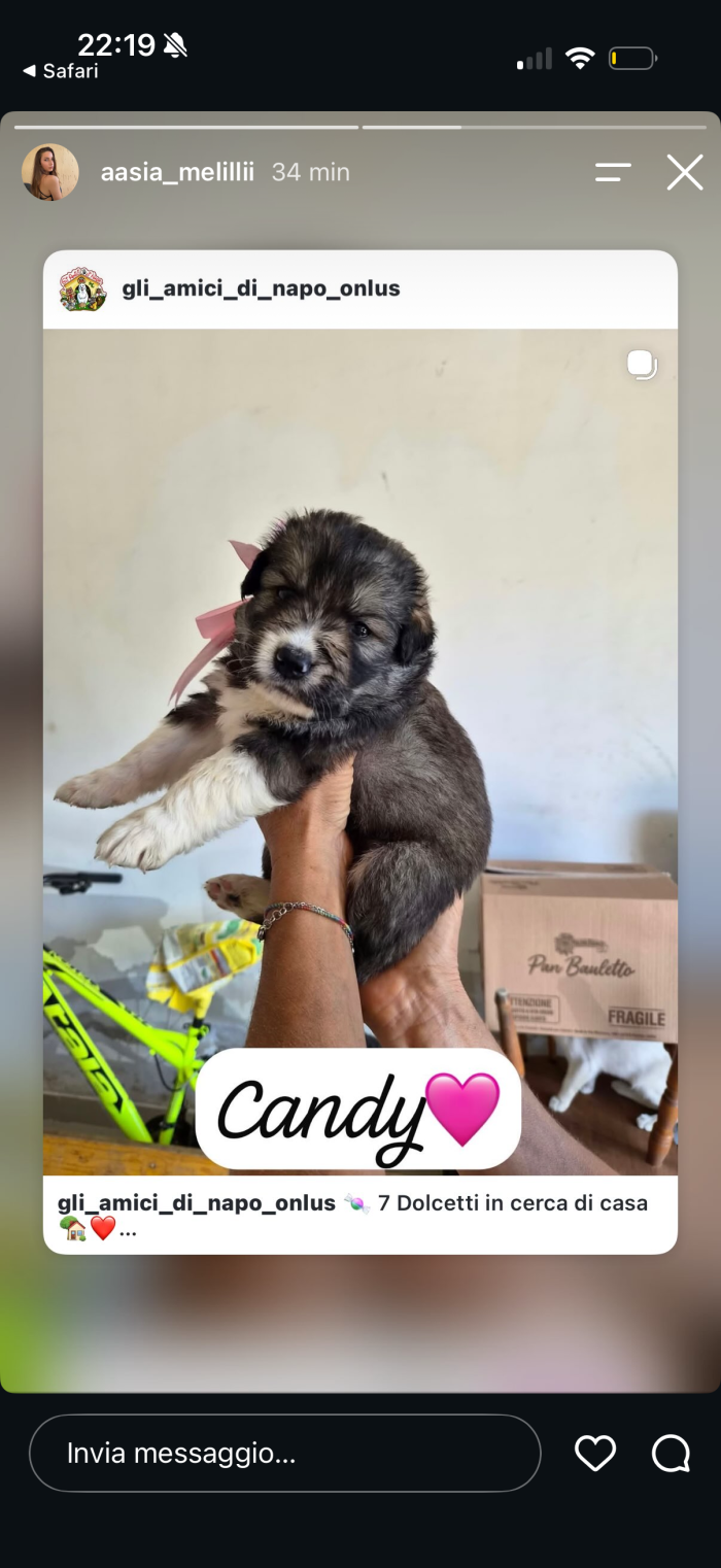 Candy cerca casa