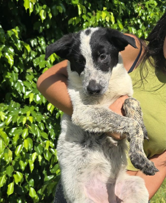 Giulia dolce e giocherellona