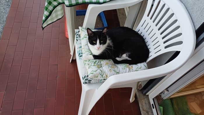 Filippo