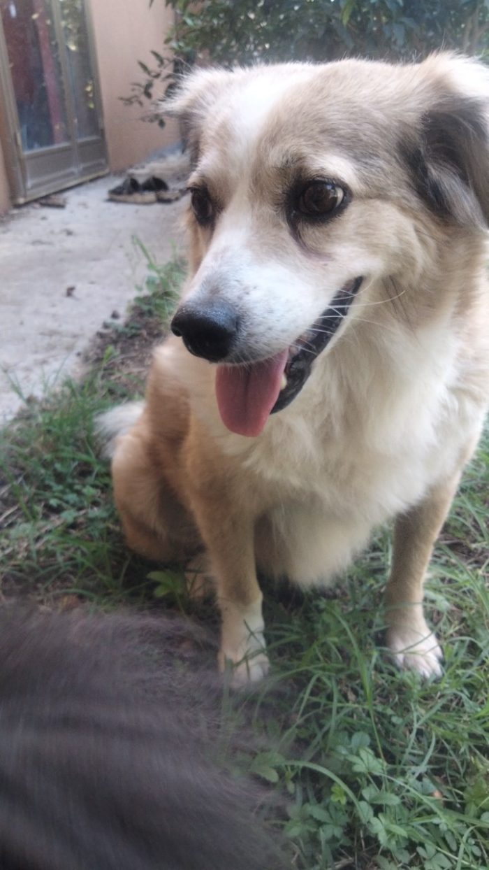 10 anni, maltrattata,  picchiata, rifiutata...