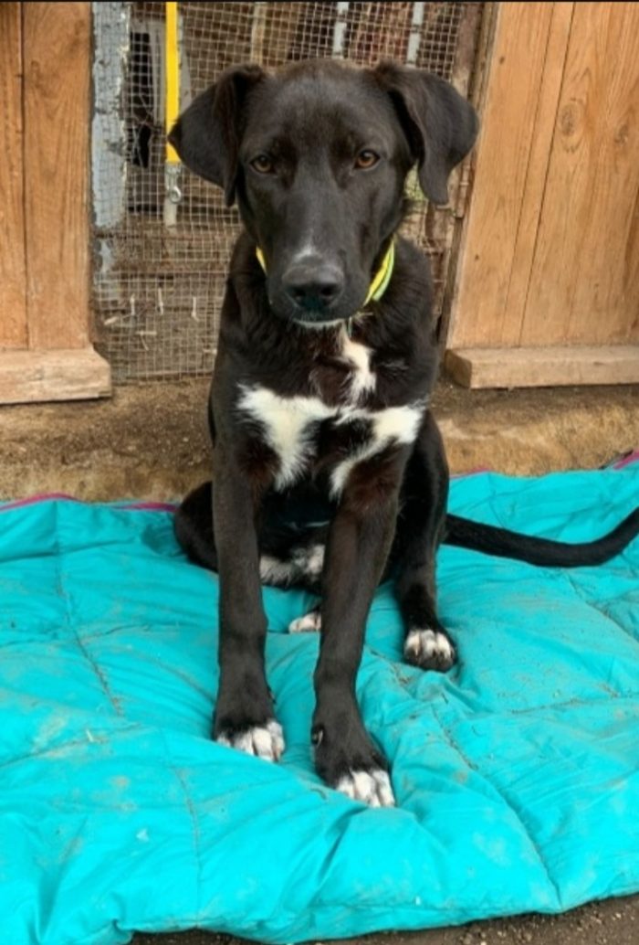 Aky 2anni salito 18mesi fa,ANCORA IN BOX!! HELP MILANO