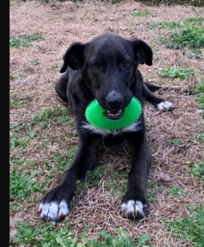 Aky 2anni salito 18mesi fa,ANCORA IN BOX!! HELP MILANO