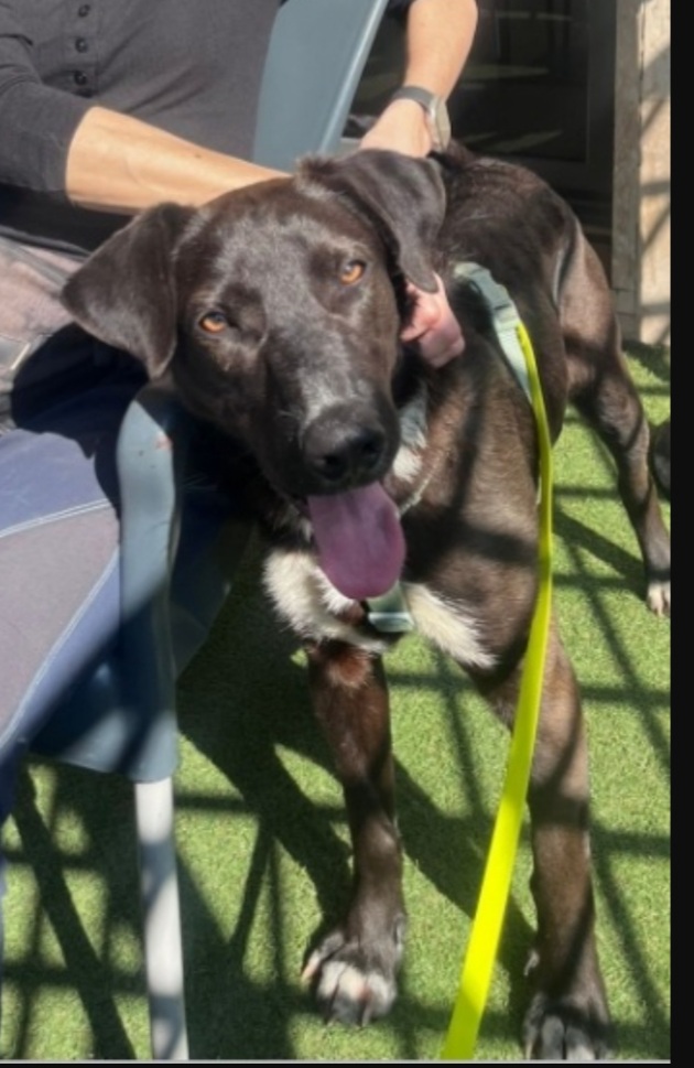 Aky 2anni salito 18mesi fa,ANCORA IN BOX!! HELP MILANO - media 8