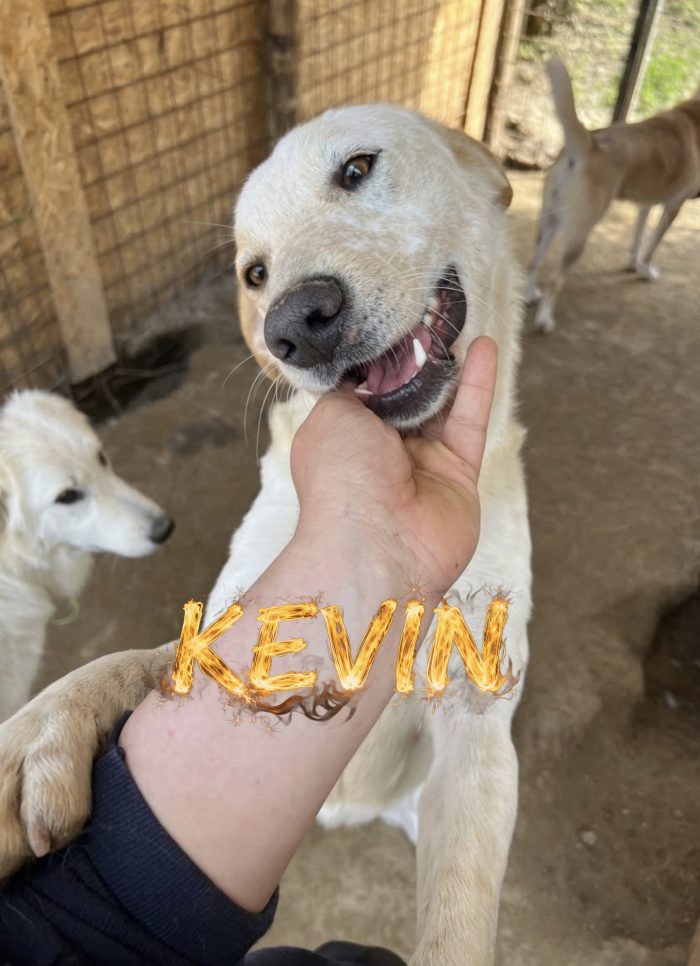 I fratellini Billy e Kevin