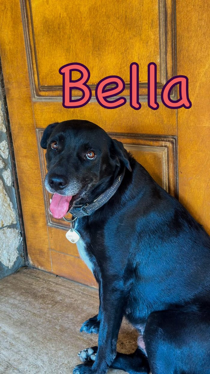 Bella ora merita di essere felice