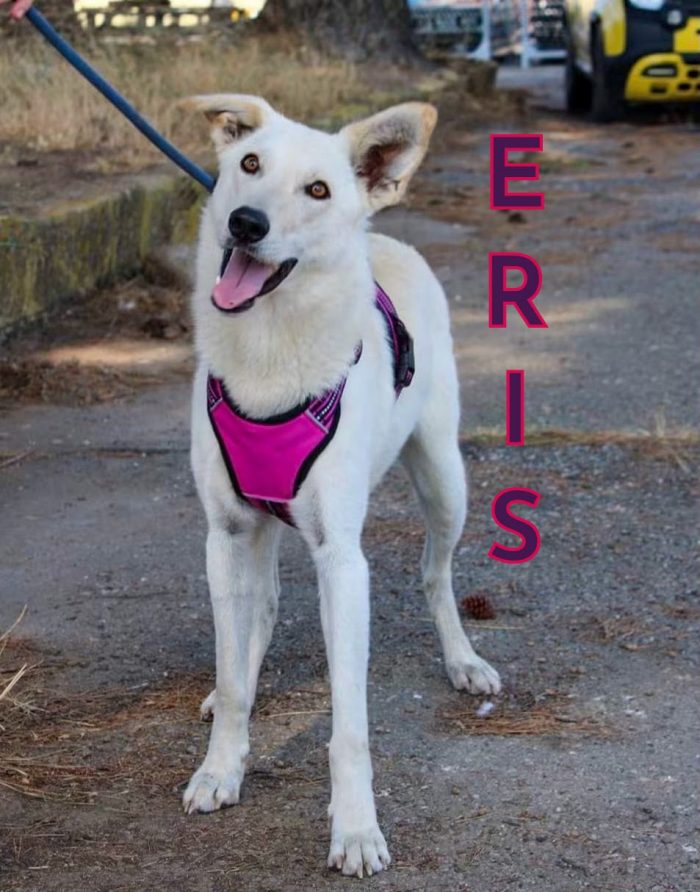 Eris💞le manca solo una mamma