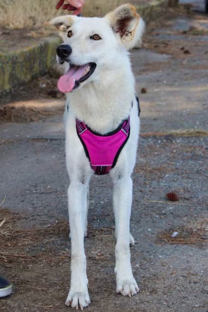 Eris💞le manca solo una mamma