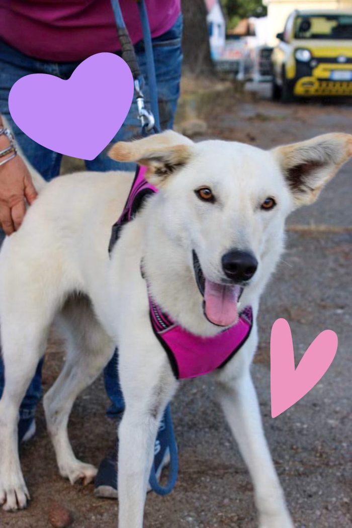Eris💞le manca solo una mamma