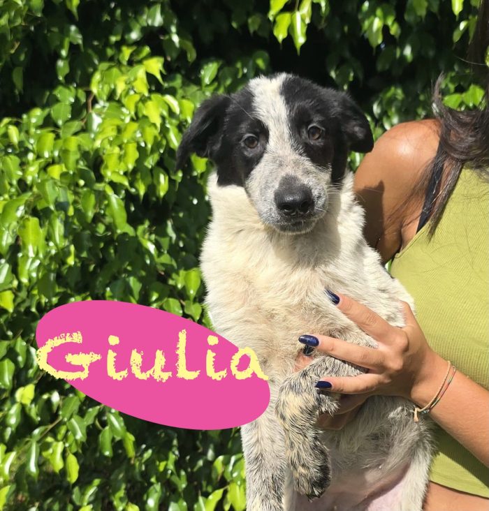 Giulia ti aspetta🐾💞