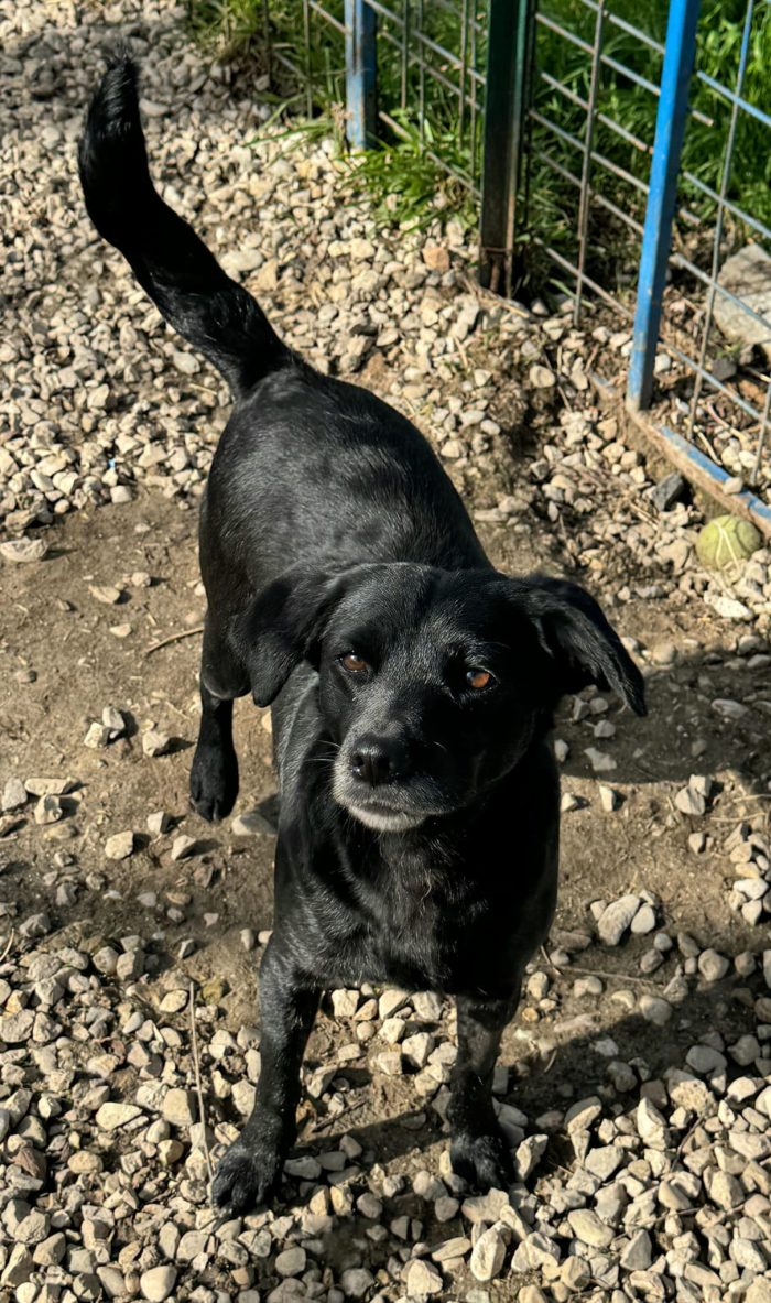 Dolce Monica, 3 anni, 9 kg nessuno la nota