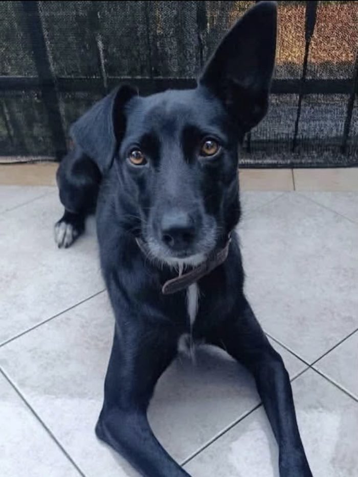Nina non sa che deve lasciare la sua casa