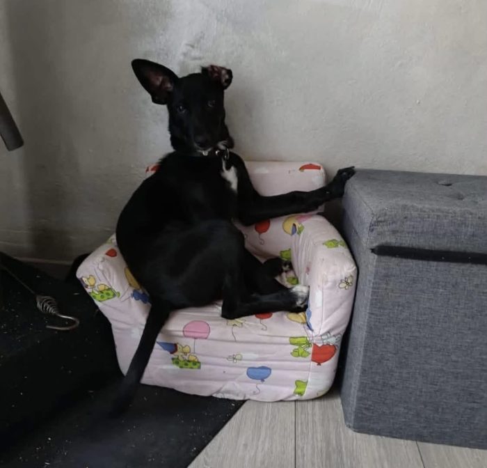 Nina non sa che deve lasciare la sua casa - media 4