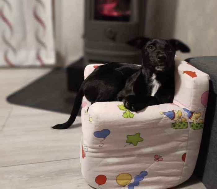 Nina non sa che deve lasciare la sua casa