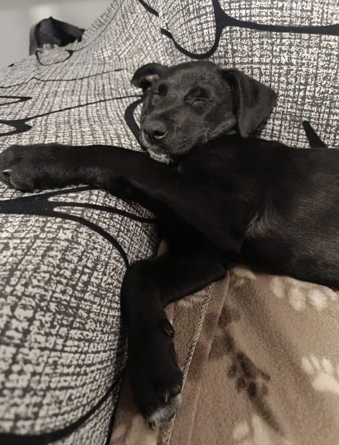 Nina non sa che deve lasciare la sua casa