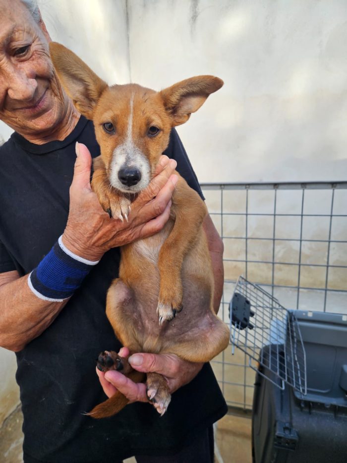 Velvet: 3 mesi taglia contenuta