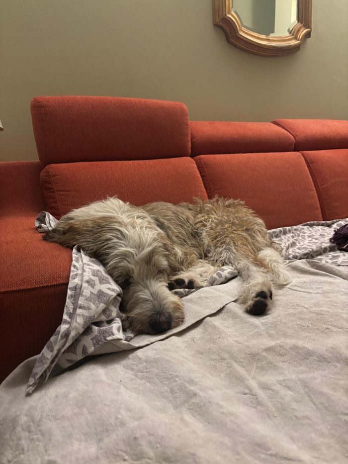 Oscar cerca casa
