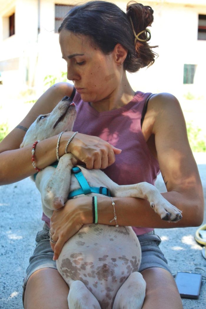 Il piccolo Fred cerca adozione