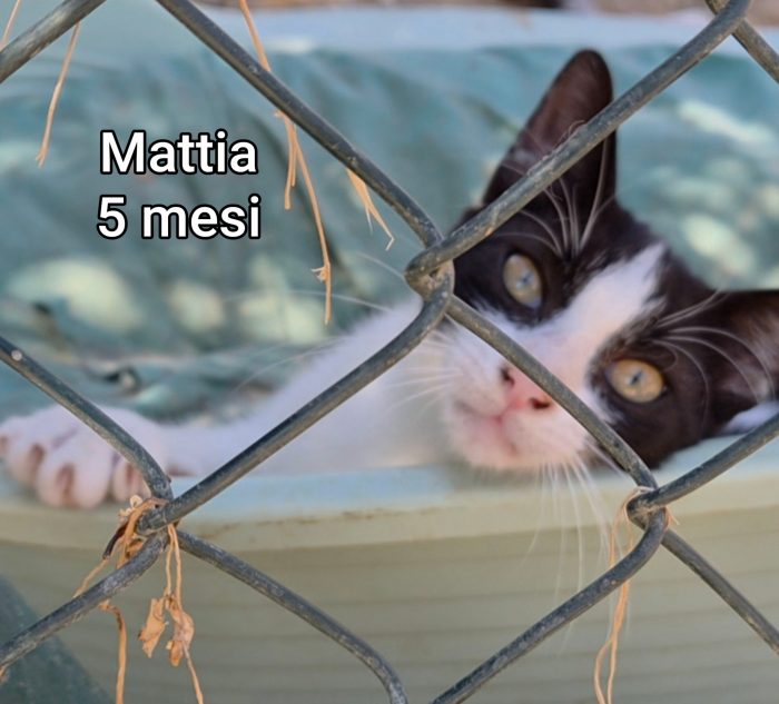 Micini esclusi e soli