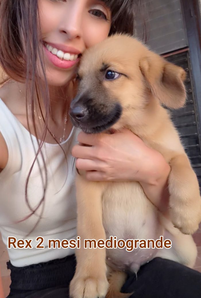 Stupendi trovatelli! 2 mesi