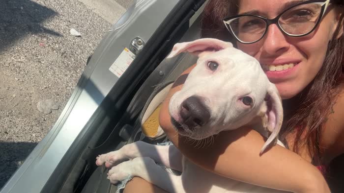 Cucciola dolcissima cerca una famiglia amorevole