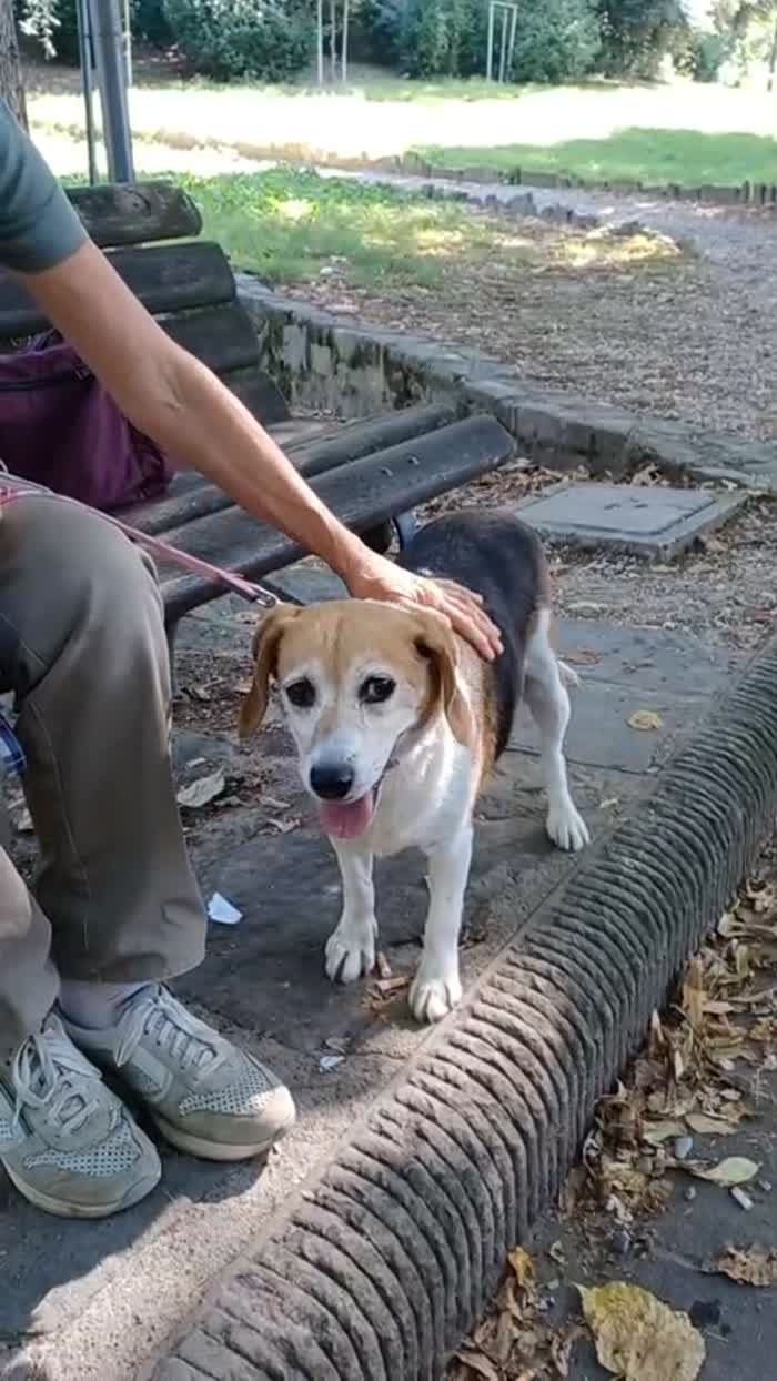 Asia 🐾 - media 8