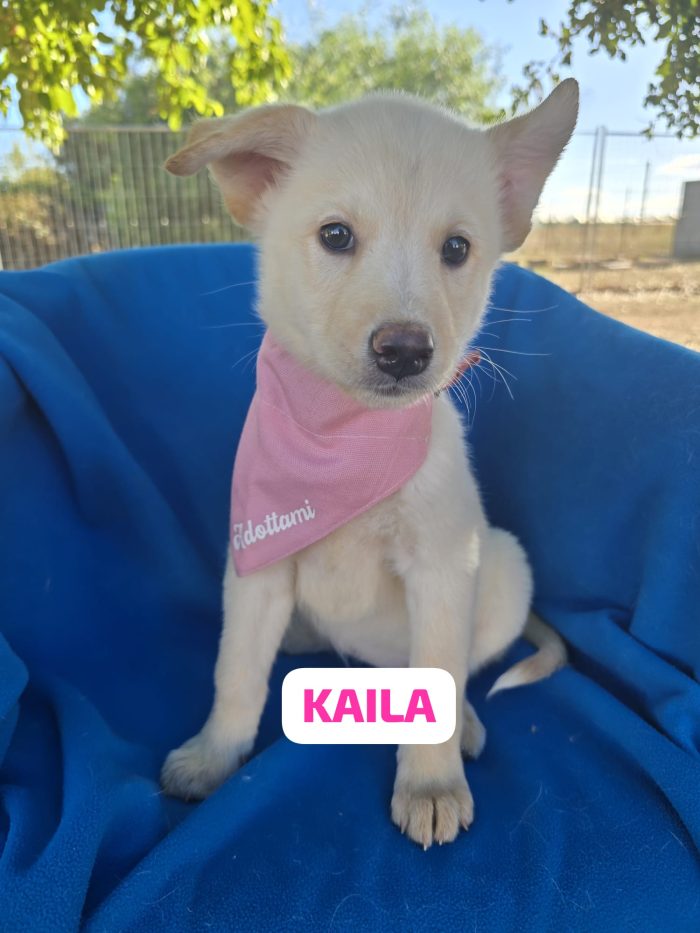 KAILA CERCA CASA😍