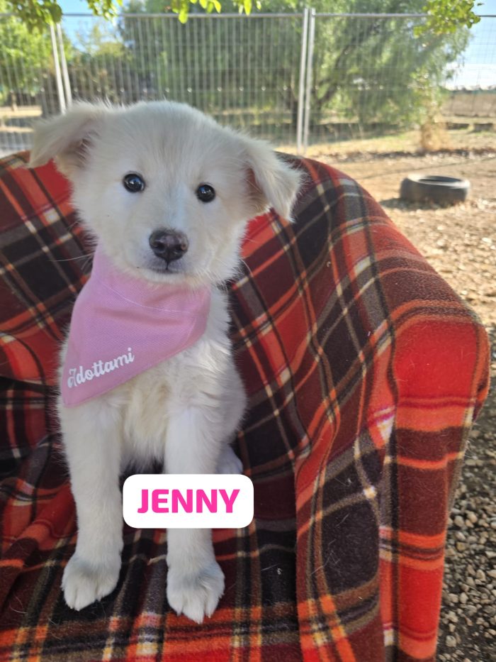 Jenny cerca Casa❤️