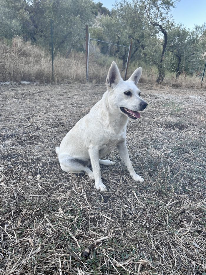 Sally 10 kg di dolcezza